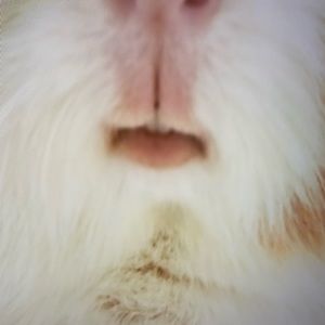 Meet your Posher, Ayanna